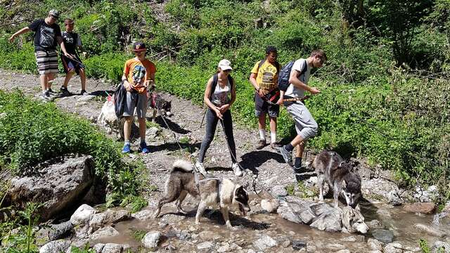Canirandonnée avec les chiens de traîneaux (pour ados et adultes)