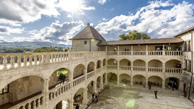 Visit the chateau - Guided Tour