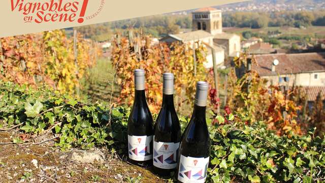 Dégustation Vin & Fromage - Terres de Syrah
