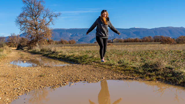 Itinéraire pédestre "Le plateau des Millarettes"