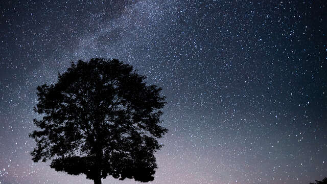 La Nuit des Étoiles à la Maison de la Châtaigne