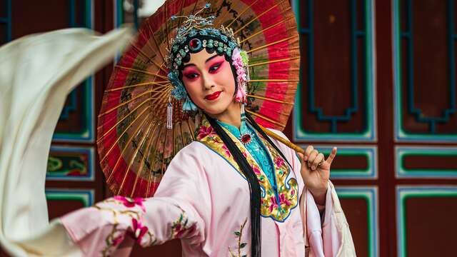 Exposition :  Curieux Japon