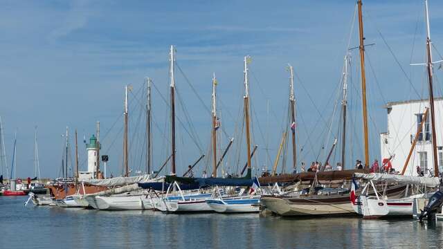 Visite guidée - le port de La Flotte et sa flotille de voiliers traditionnels