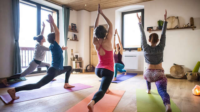 Yoga : hatha yoga et pranayamas