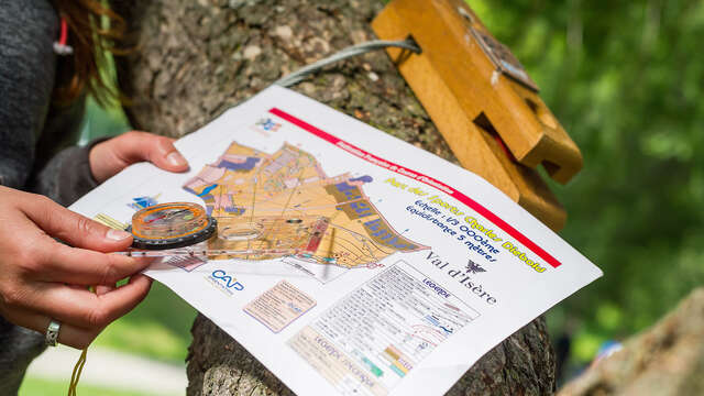 Orienteering