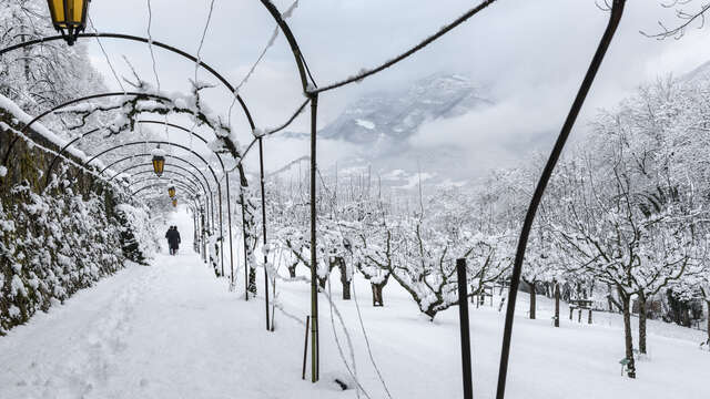 Nocturne de Noël : Contes aux Charmettes