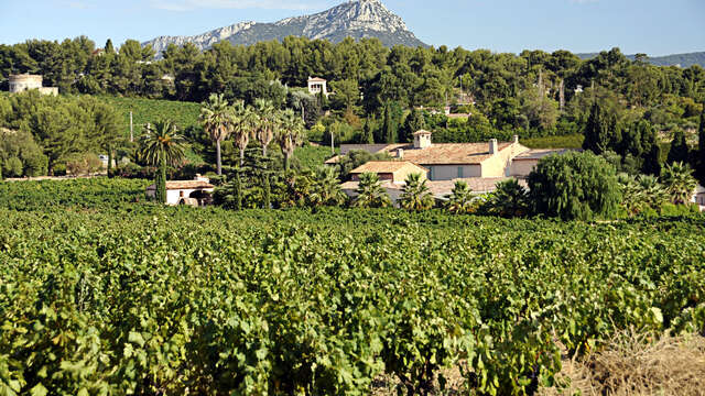 Domaine Viticole Clos cibonne