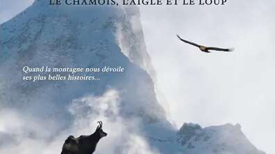 Cinéma : Sauvage – le Chamois, l’Aigle et le Loup