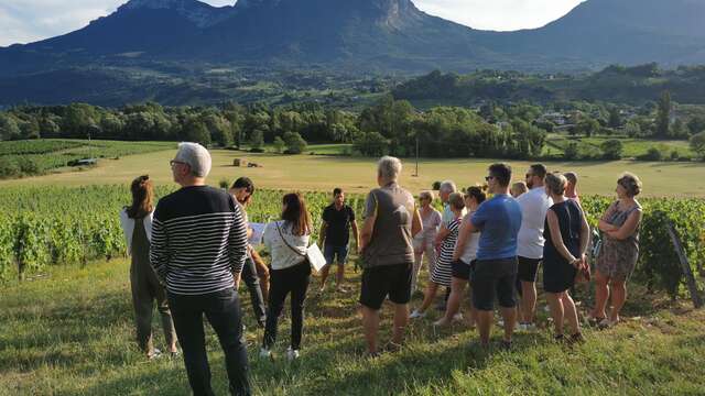 Visite du vignoble et dégustation au Domaine des Granges Longes