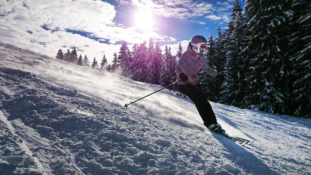 Cours particulier de ski alpin et snowboard