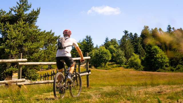 N°61 - Le novice - Espace VTT-FFC Massif des Bois Noirs