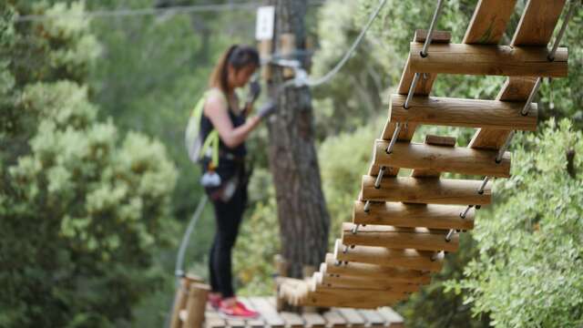 Forest Sensation Treetop Adventures