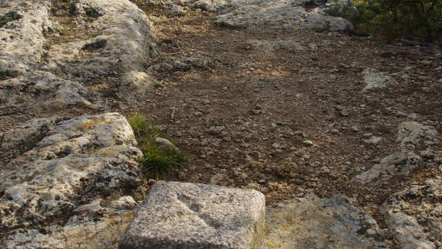 Alpilles : Lamanon - Eyguières : Le défens d'Eyguières