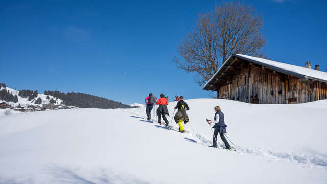 Alpage du Beaufortain
