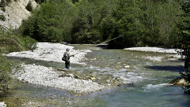 Nature Fishing Workshop