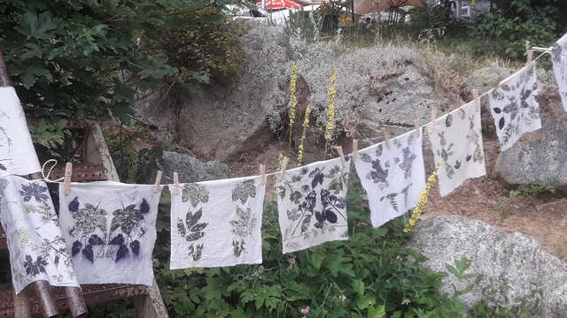 Workshop: Fabric Herbarium
