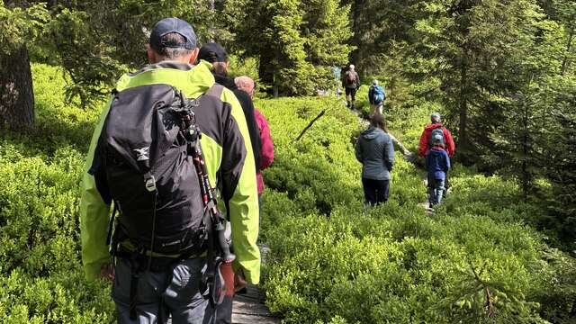Balade guidée avec l'ONF
