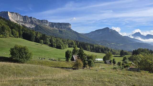 Il était un berger : le troupeau qui suit l'herbe I Rendez-vous Nature en Savoie