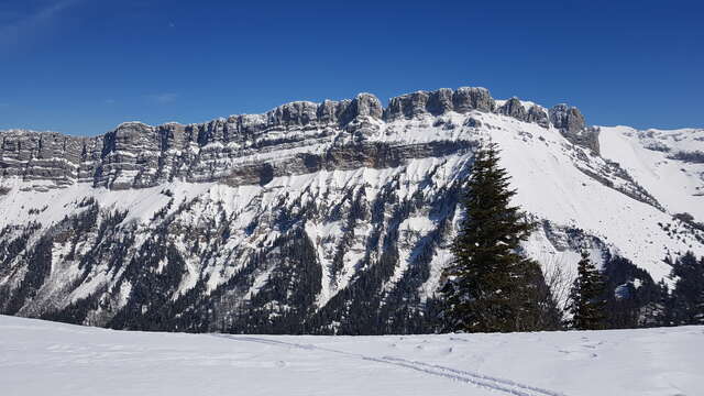 Initiation Ski de Randonnée - Ecole de Porte