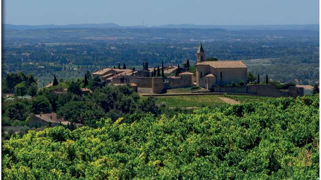 La randonnée de Cairanne par Terra Rando