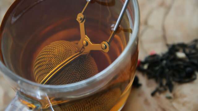 Atelier Herboristerie : découverte des plantes toniques au café des arts