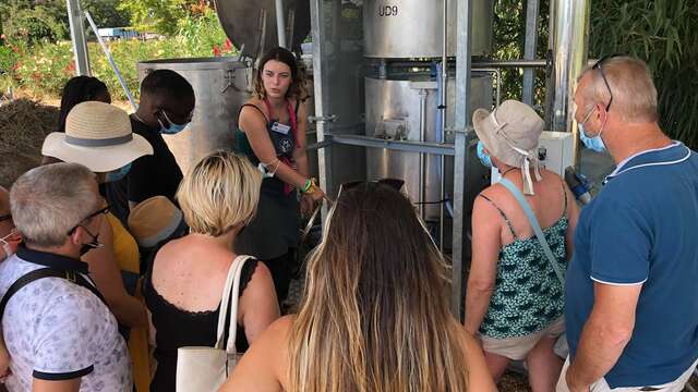 Visites guidées au Mas en Provence