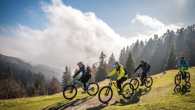 Itinéraire VTT : vers le refuge de la Golèse