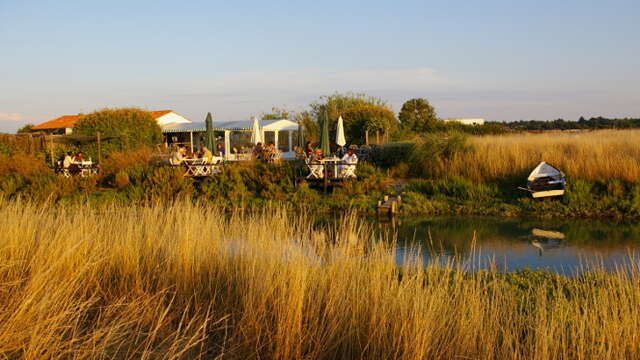 La Cabane du Feneau