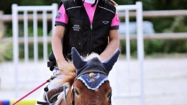 Stage d'équitation avec la Cavale