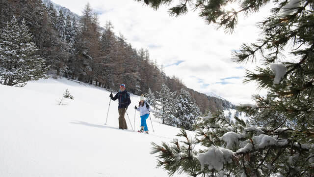 Balcons du Grand Puy -Moyen 4km