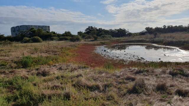 A la découverte de la pointe du Grouin avec les écogardes