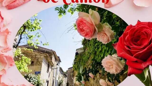 Scavenger hunt - Camon's precious rose
