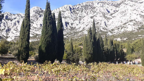 Vineyards and Terroir Aixois