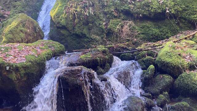 Circuit de la cascade