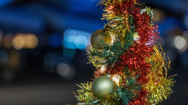 Dimanches en fête à Bisanne