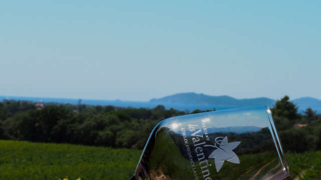 Atelier d'initiation à la dégustation au Château Les Valentines