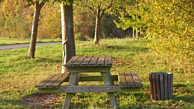 Aire de pique-nique - route du Fangeat