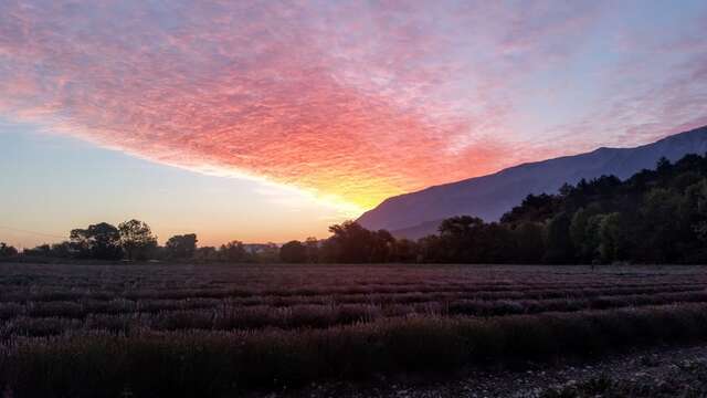 Soirée astro et lavande - Lavanderaie des Hautes Baronnies