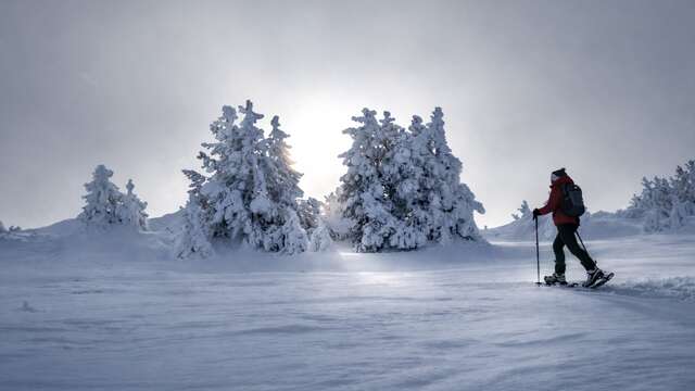 Large Nordic plateau with Dahu Ariégeois