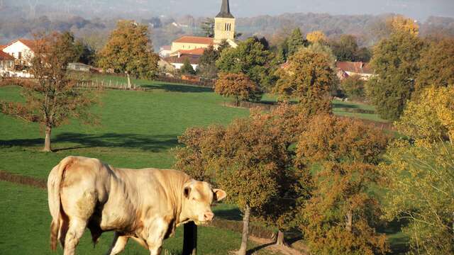 La Triplette Charoline
