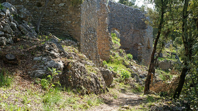 Ruines du castrum médiéval