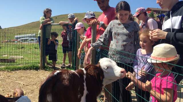 Visite enfant de la Ferme de Lorette
