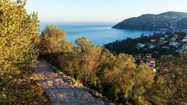 Balade commentée au mont San Peyre