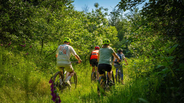 Étape 4 - Tour VTT du Pays Roannais - Saint-Martin-d'Estréaux > Roanne