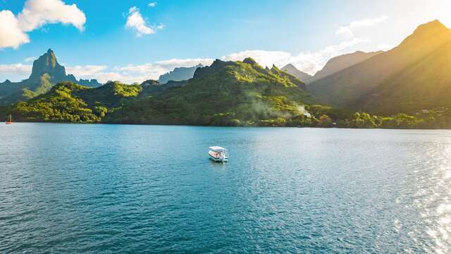 Aimeho Private Escapes - Whale watching tours