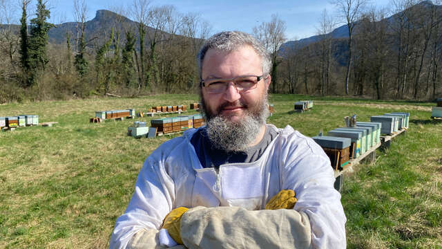 L'abeille de Chartreuse