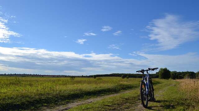 N° 12 - Les fruits rouges - Espace VTT-FFC Massif des Bois Noirs