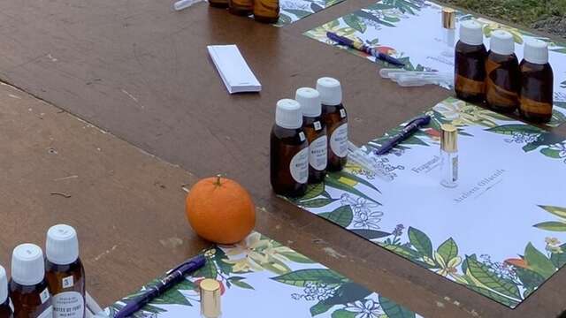 Atelier Création de Parfum Fragonard