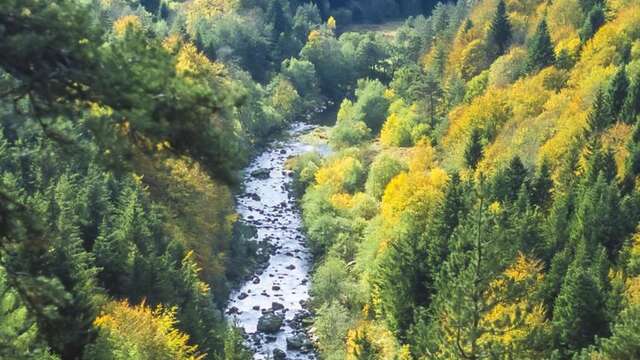 T53 - Les Gorges du Lignon