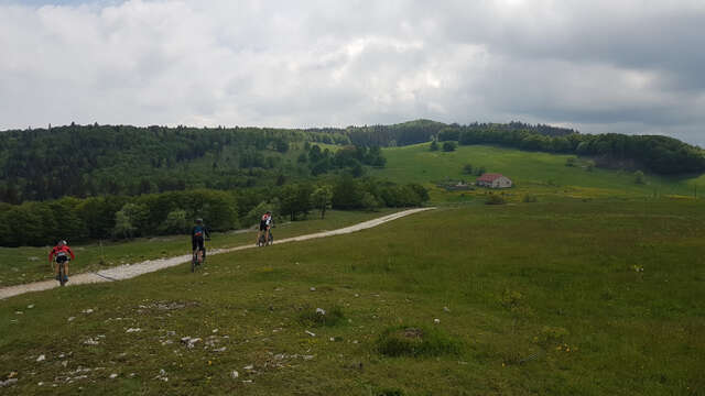 Multi days mountain bike trip with a guide